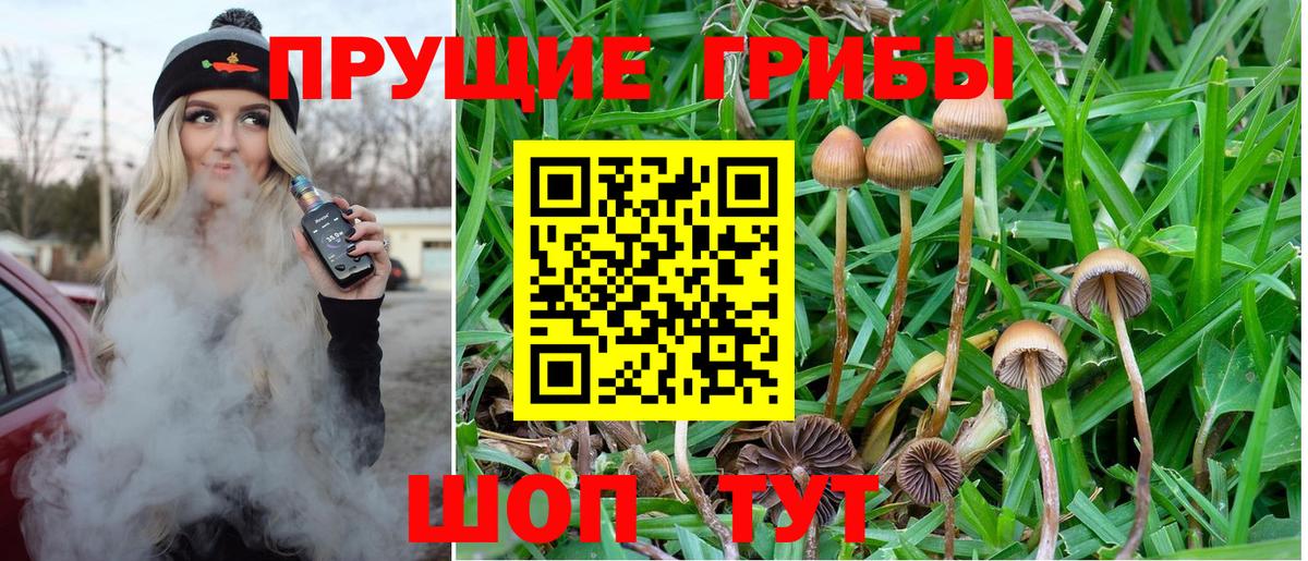 Галлюциногенные грибы ЛСД  Вход с VPN  Галлюциногенные грибы Cubensis  купить наркоту  Димитровград 