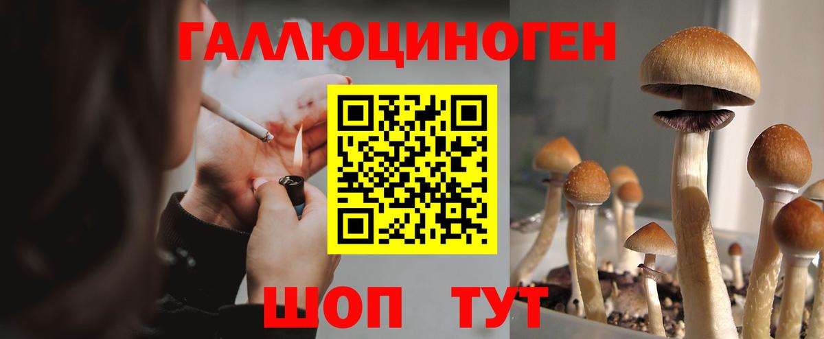 Псилоцибиновые грибы GOLDEN TEACHER Димитровград