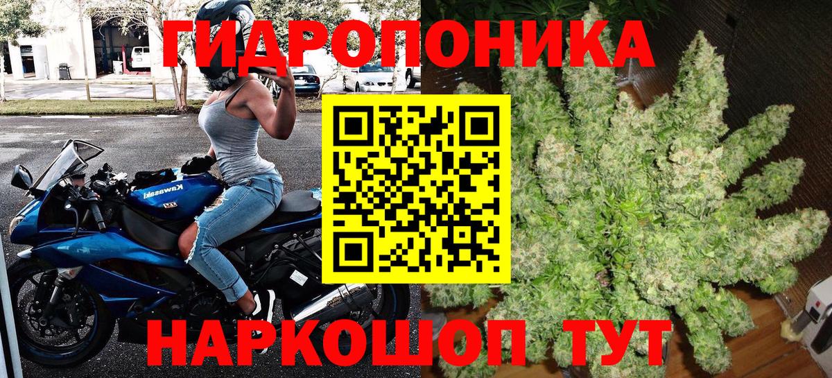 Бошки марихуана AK-47  Марихуана гибрид  Марихуана SATIVA & INDICA  Вход с VPN  Димитровград 